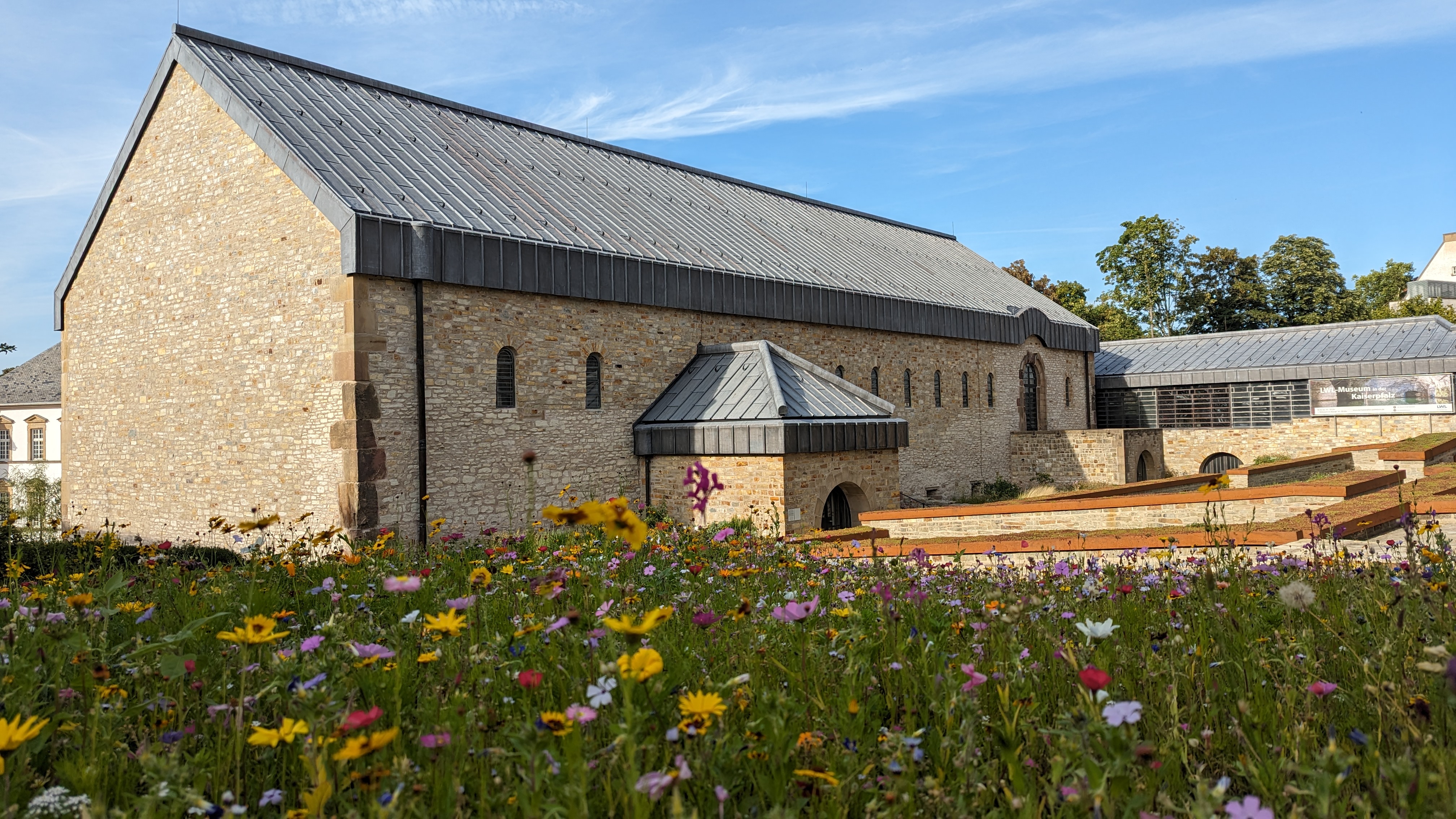 Ansicht der Kaiserpfalz von Außen mit Blick auf eine Blumenwiese im Vordergrund.