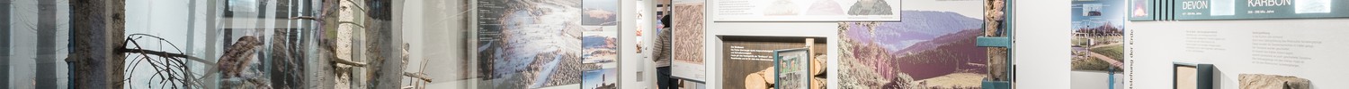 Blick in die Ausstellung im LWL-Besucheszentrum Kahler Asten