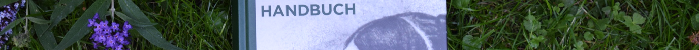 Annette von Droste-Hülshoff Handbuch auf einer Wiese