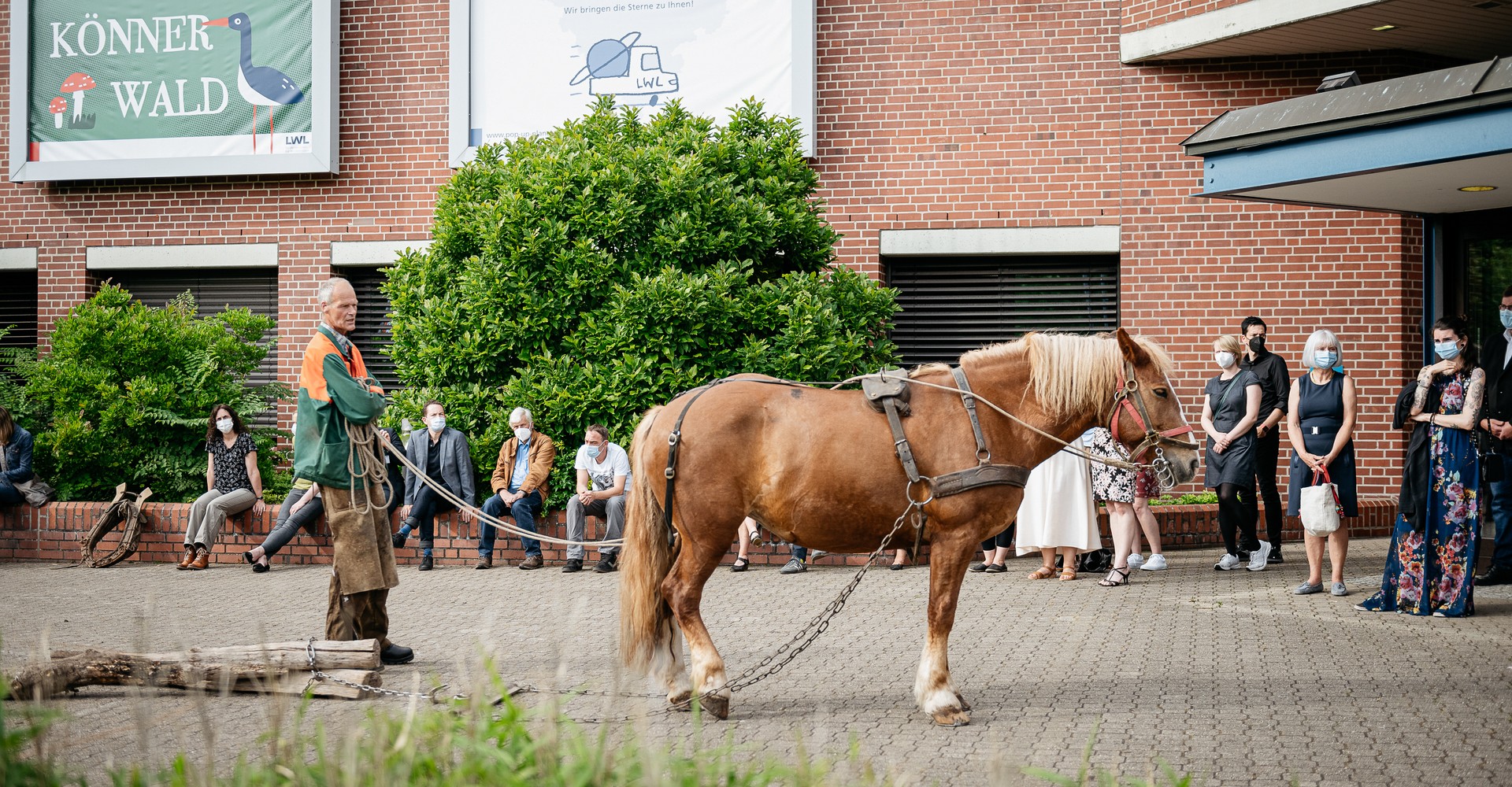 Pferd vor dem Eingang des LWL-Museums für Naturkunde.