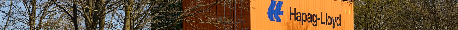 Mehrere übereinander gestapelte Container verschiedener Unternehmen neben einem Baum und einem Zaun