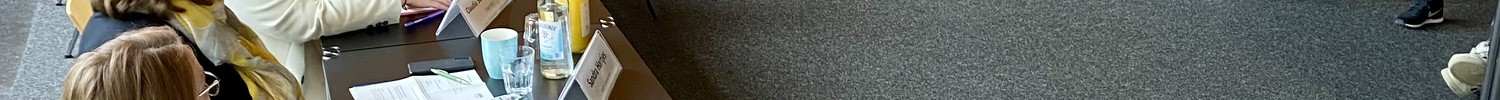 Menschen sitzen an einem U-förmig angeordneten Tisch in einem Konferenzraum mit Holzpaneelen und diskutieren