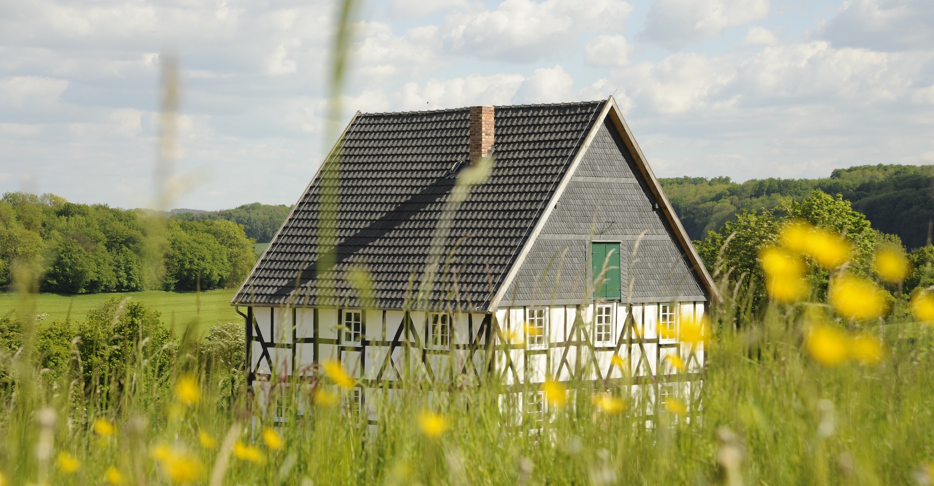 Im Vordergrund verschwommen eine Wiese mit Blumen und im Hintergrund ein Fachwerkhaus mit Schieferziegeln.