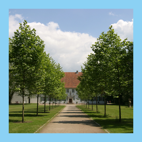 Alle mit jungen Bäumen, am Ende der Allee der Eingang zum Schloss Cappenberg. Foto eingefasst in blauen Rahmen.