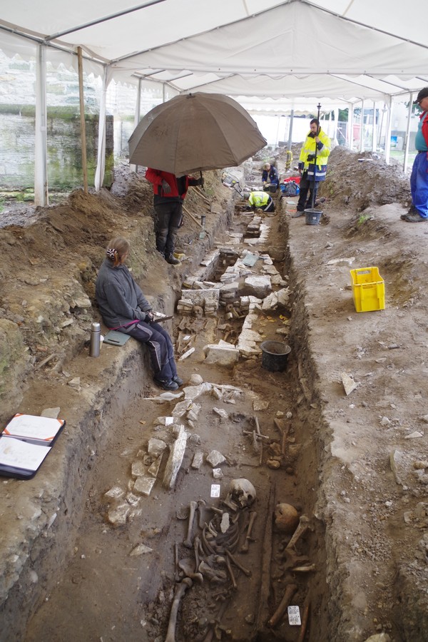 Archäologische Ausgrabungsstätte mit mehreren Knochen