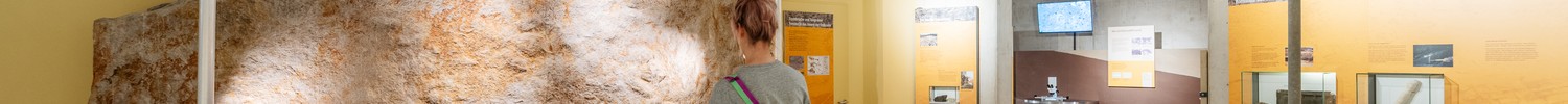 Eine Frau steht an einem Informationsdisplay, dahinter eine beleuchtete Steinwand.