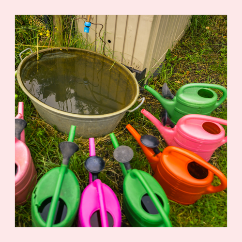 Mehrere bunte Gießkannen stehen im Kreis um eine mit Wasser gefüllte Metallschüssel auf Gras. Foto gerahmt von rosa Rahmen.