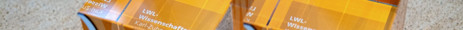 Zwei transparente würfelförmige Auszeichnungen mit orangefarbenem Design und der Aufschrift „LWL-Wissenschaftspreis 2023 Karl-Zuhorn-Preis“ stehen nebeneinander auf einem Tisch.