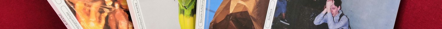 Fünf Magazine mit verschiedenen Titelbildern liegen auf einem roten Sofa, davor ein Heft mit dem Titel „alltagskultur im blog“.