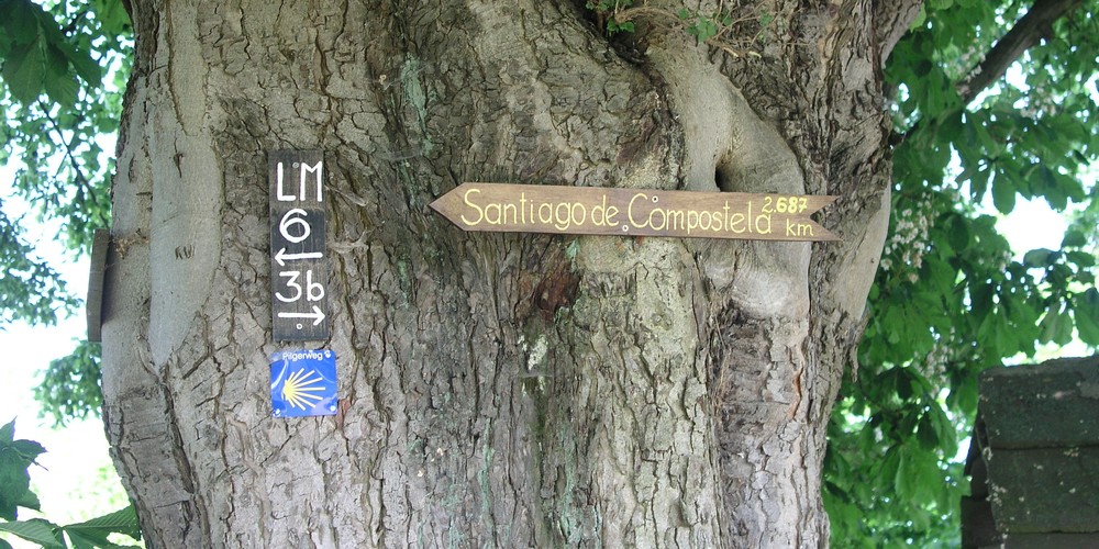 Baumstamm an dem Schilder angebracht sind: Schild mit Jakobsmuschel und hölzernes Schild in Form von Pfeil mit Aufschrift: Santiago de Compostela 2687 km