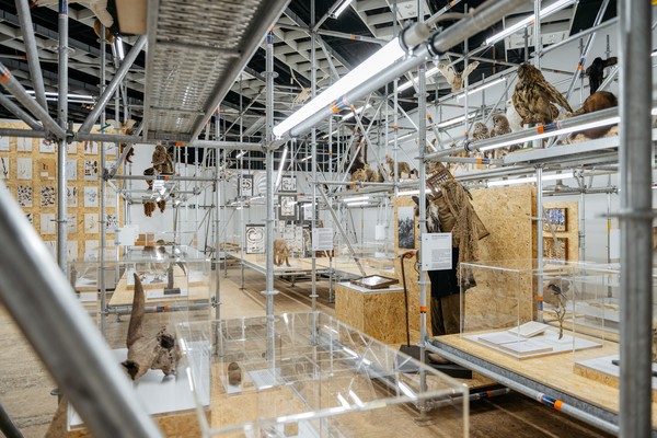 Raum gefüllt mit Metallregalen und Holzplatten auf denen Ausstellungsexponate präsentiert sind.