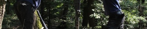Zwei Männer bedienen im Wald ein gelbes Rammgerät auf sandigem Boden mit Baumstämmen im Hintergrund.