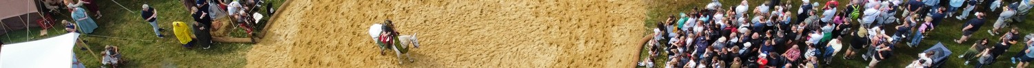Eine Menschenmenge steht im Kreis um ein Sandfeld auf dem drei Pferde mit Reitern stehen.
