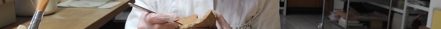Eine Frau mit Schutzbrille untersucht Ausgrabungsfunde.