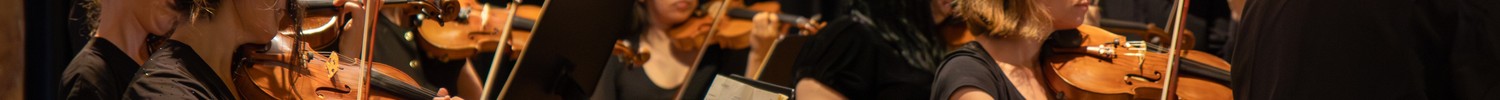 Ein Orchester spielt ein Konzert.