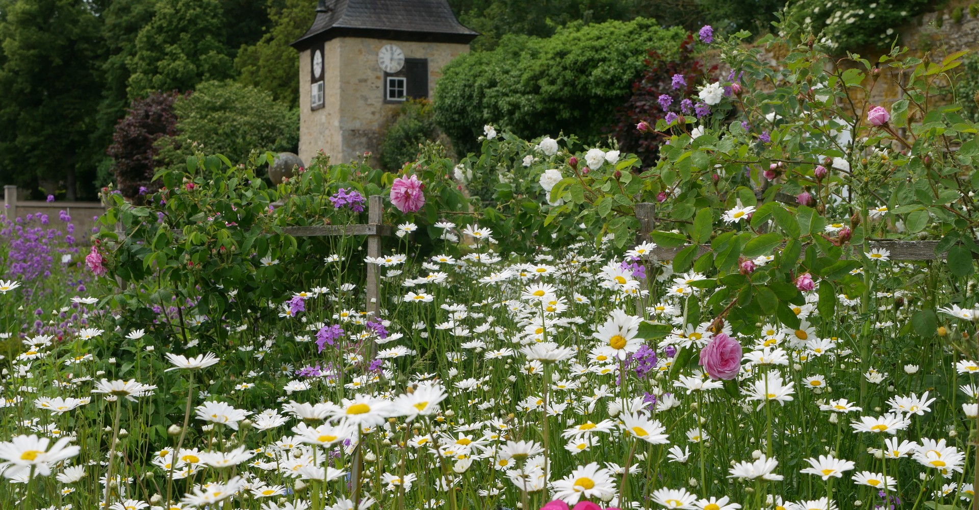 Garten mit blühenden Blumen